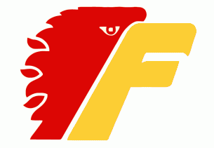 Philadelphia Firebirds 1977 78-1978 79 Primary Logo iron on transfers for T-shirts